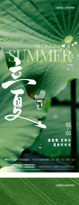 地产立夏小满质感系海报