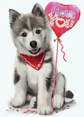 哈士奇