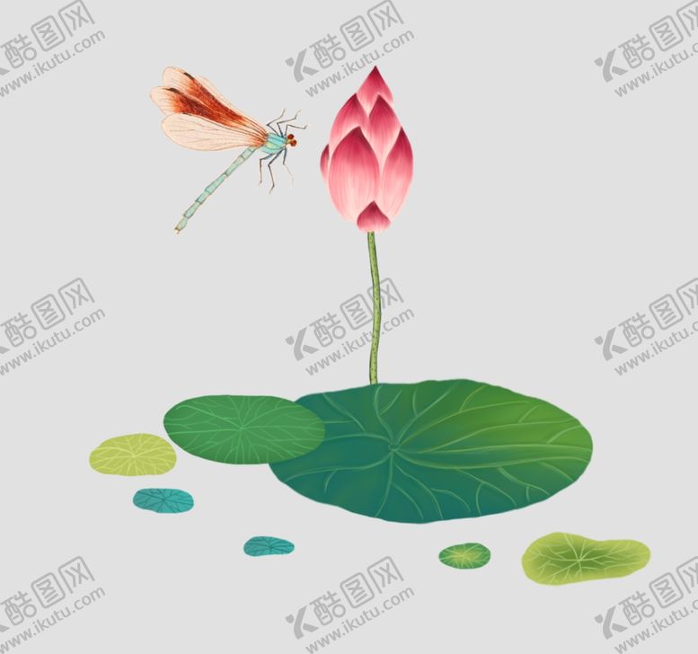 编号：59370102191839023551【酷图网】源文件下载-荷花