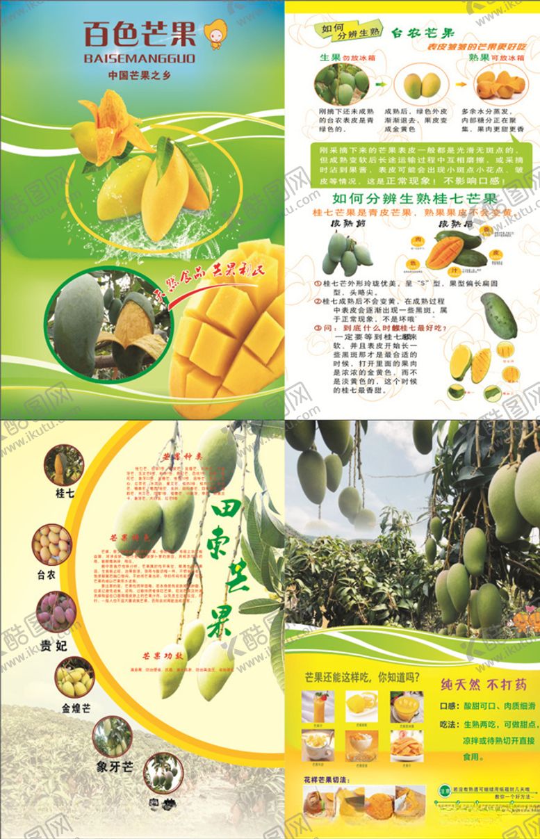 编号：55071409191729408161【酷图网】源文件下载-芒果宣传单