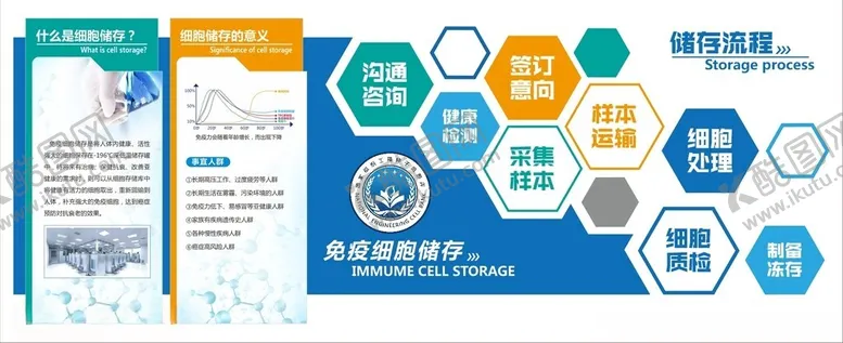 编号：25219006291956449545【酷图网】源文件下载-医学文化墙