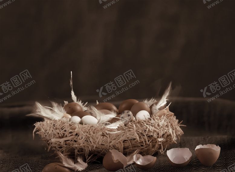 编号：55157209181831085729【酷图网】源文件下载-儿童摄影