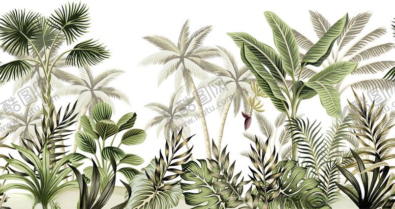 编号：77353410161131534174【酷图网】源文件下载-热带植物手绘插画