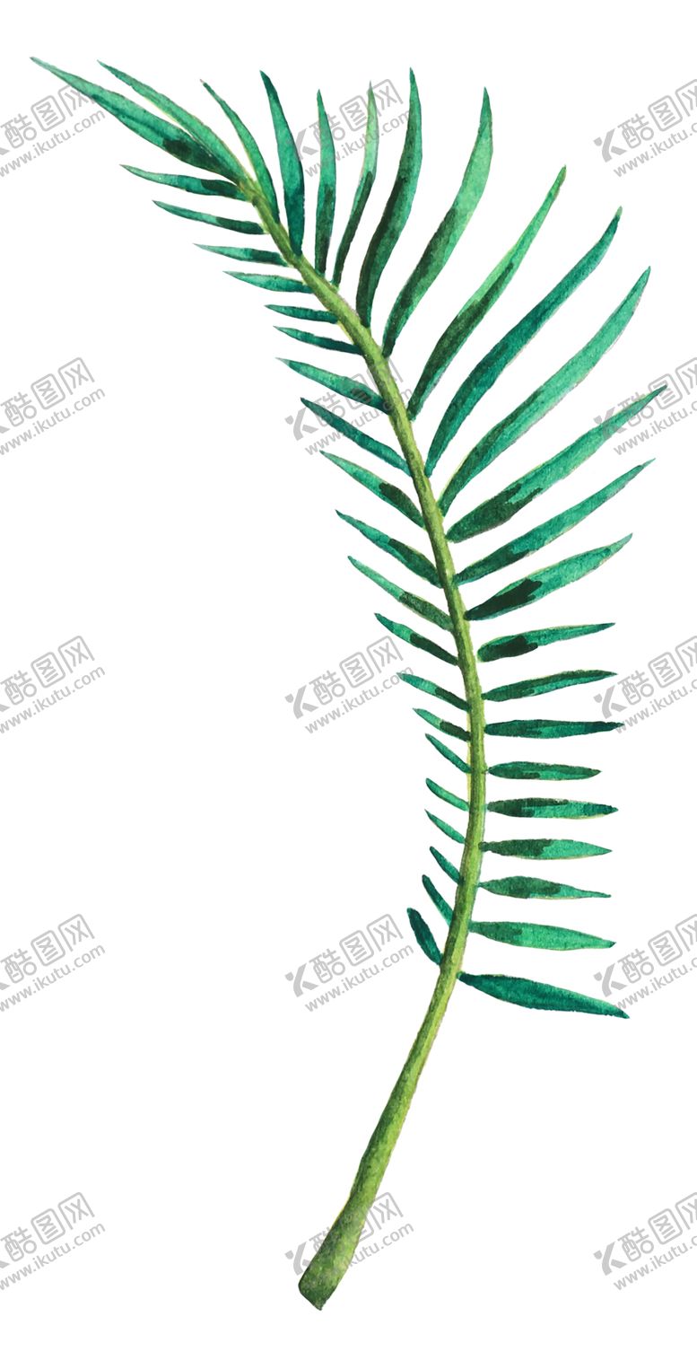 编号：28518310110430538920【酷图网】源文件下载-夏日水彩植物装饰图案