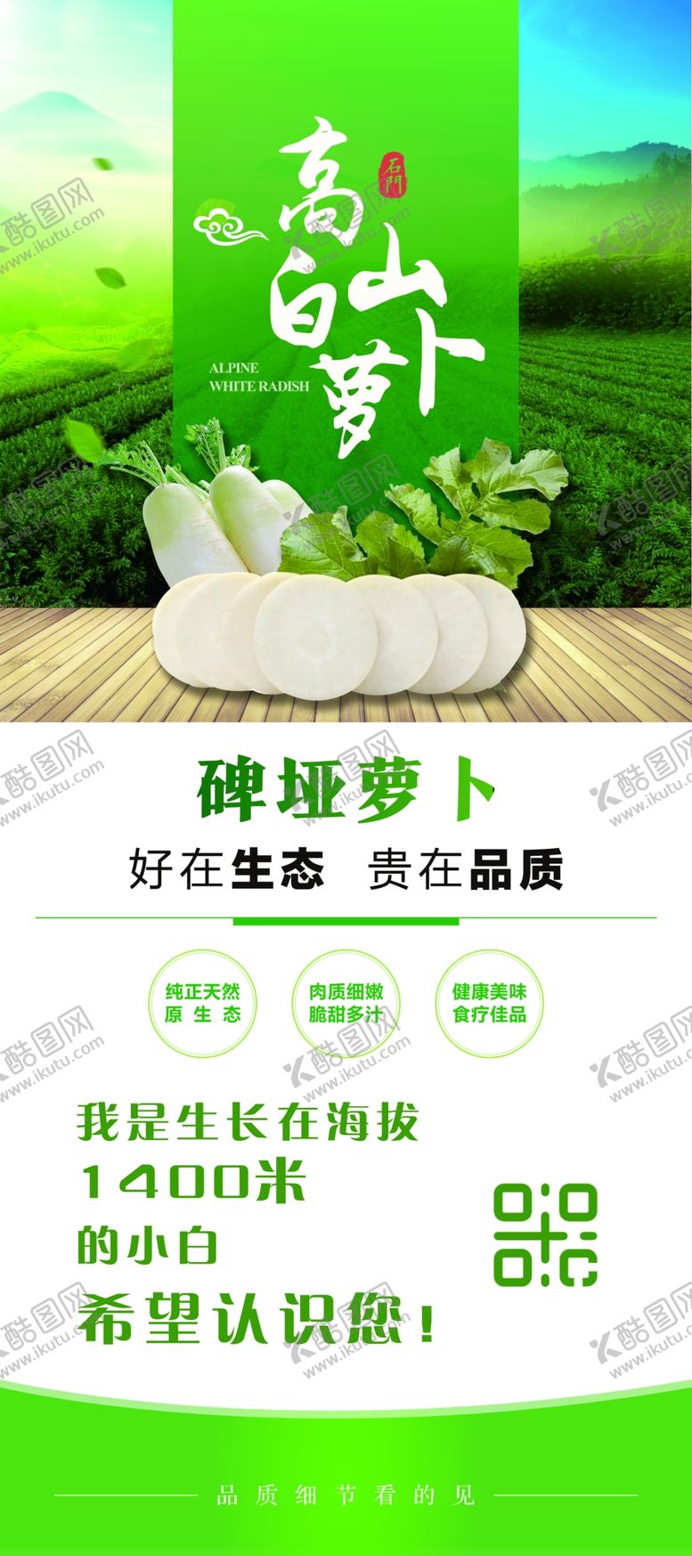 编号：03856109280728332853【酷图网】源文件下载-白萝卜展架画面