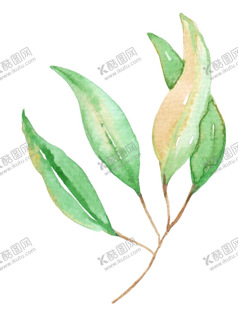 编号：17189607081603176776【酷图网】源文件下载-水果