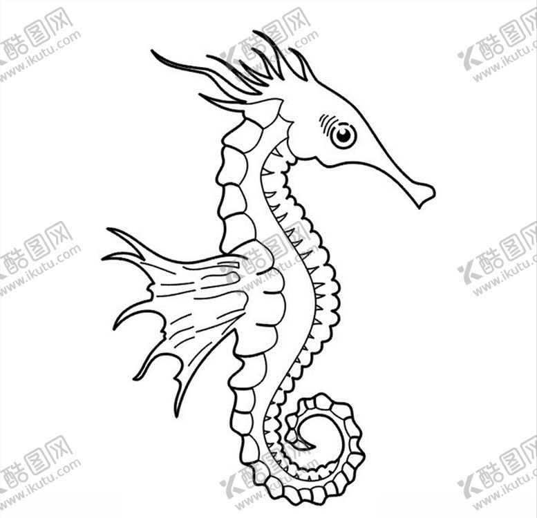 编号：48412604180124288997【酷图网】源文件下载-线描海马矢量图