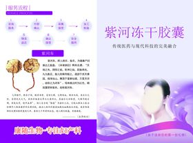 紫河车双折页