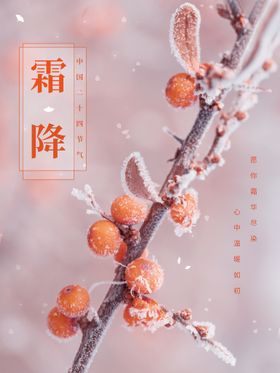 创意简约大雪摄影图节日海报