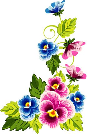 牡丹花