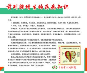 前列腺图版