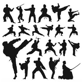 武术 功夫 健体