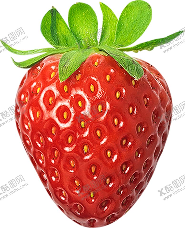 编号：85460209211922247238【酷图网】源文件下载-水果