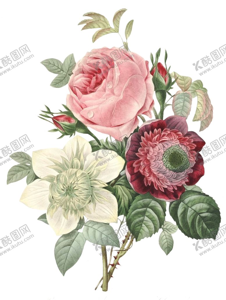 编号：85411310010900508013【酷图网】源文件下载-复古鲜花植物装饰图案