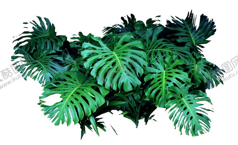编号：69993309290712193047【酷图网】源文件下载-绿色植物