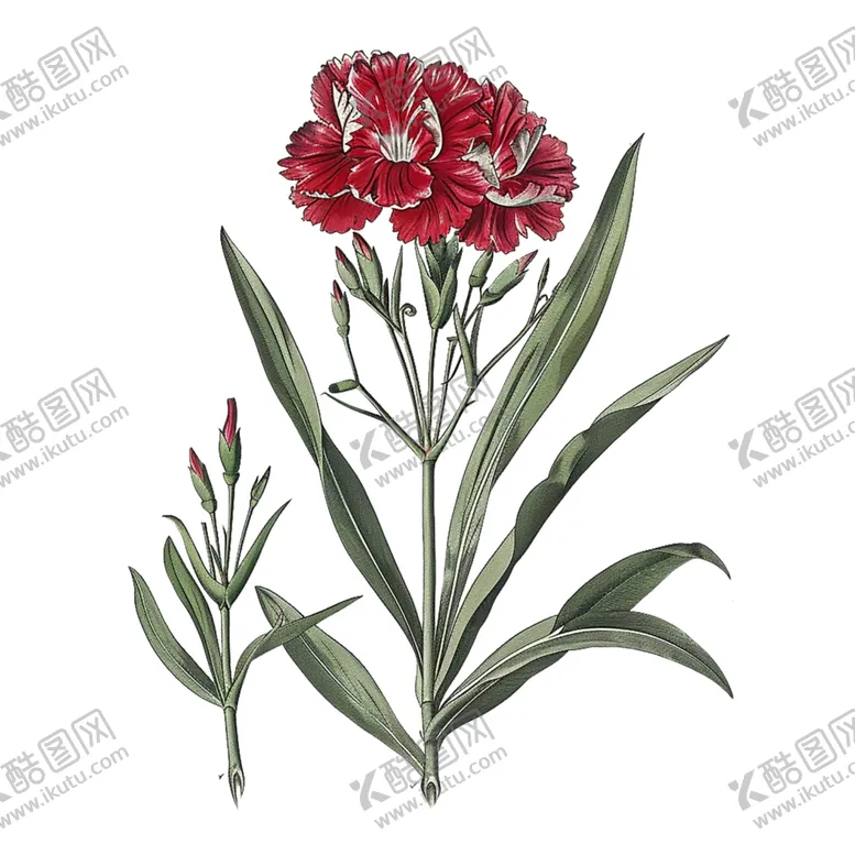 编号：56469002151446494683【酷图网】源文件下载-民族花纹