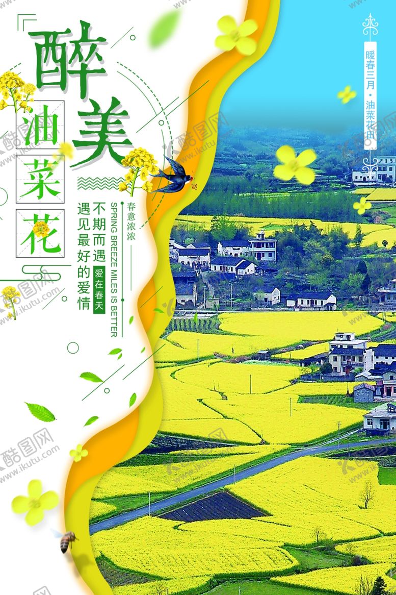 编号：40128909221746462622【酷图网】源文件下载-油菜花