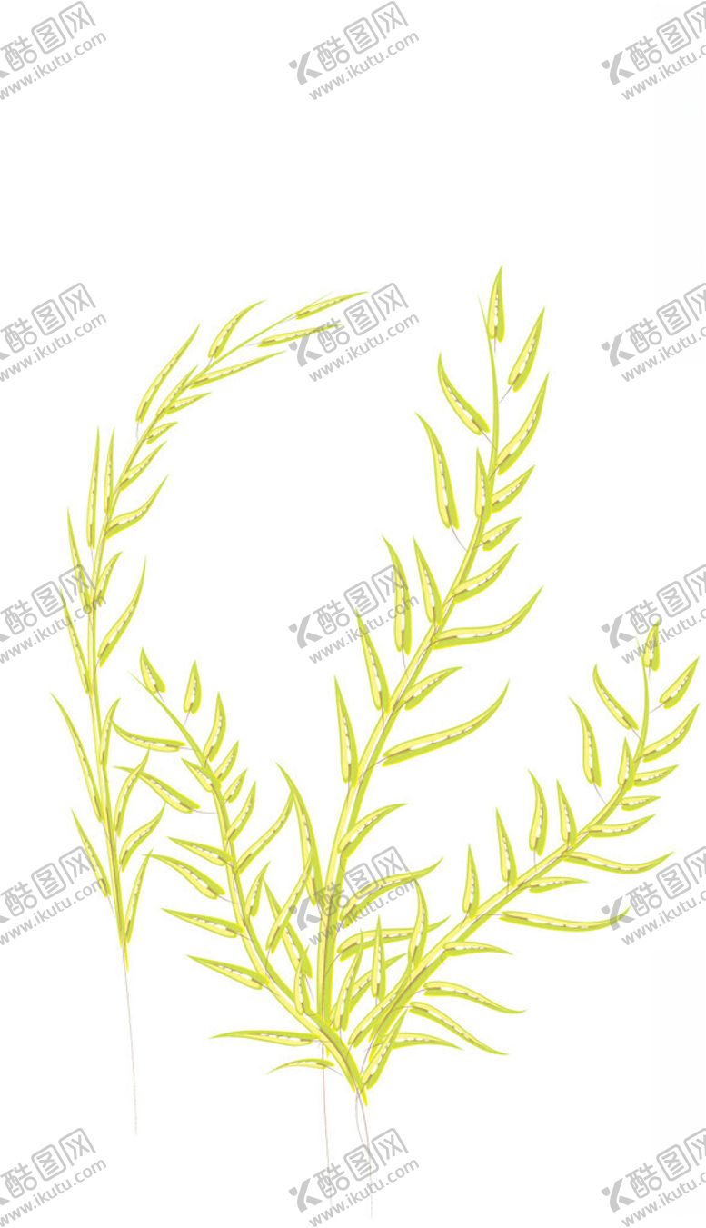 编号：61361501280626485290【酷图网】源文件下载-树叶树枝叶子绿叶枝条小草植物