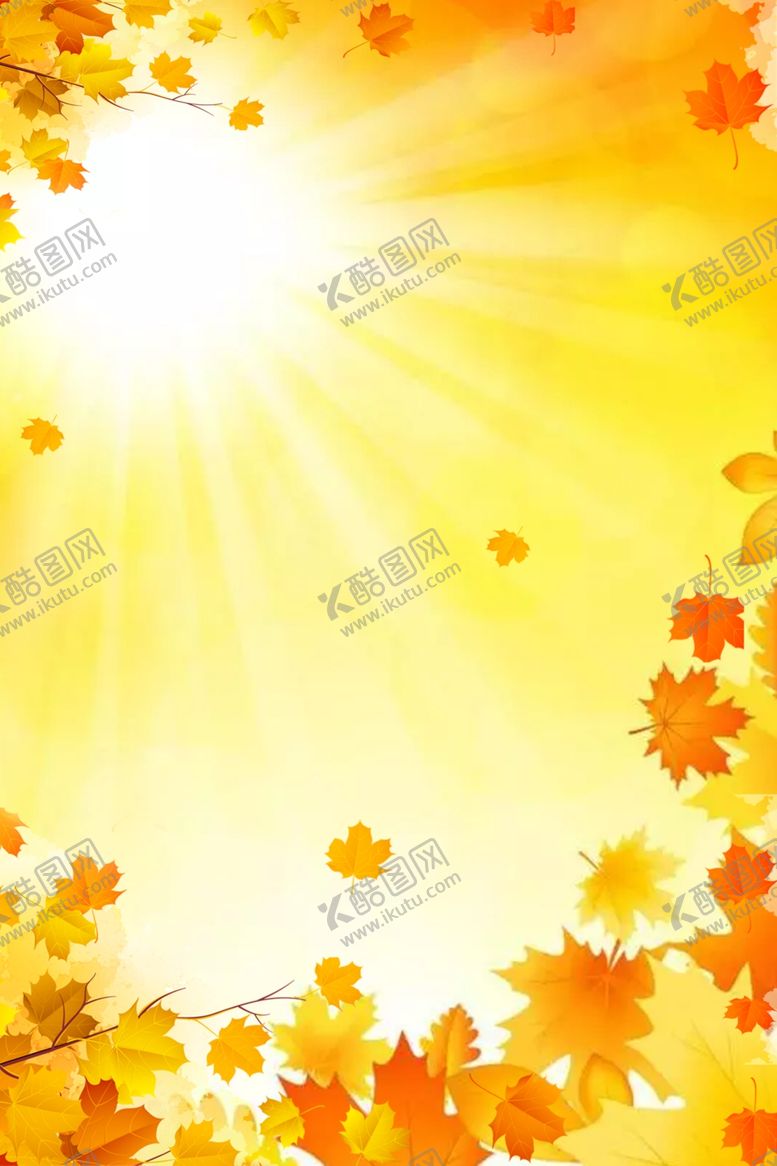编号：23416106241922407613【酷图网】源文件下载-枫叶背景