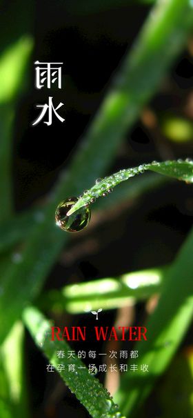 雨水卡通节气