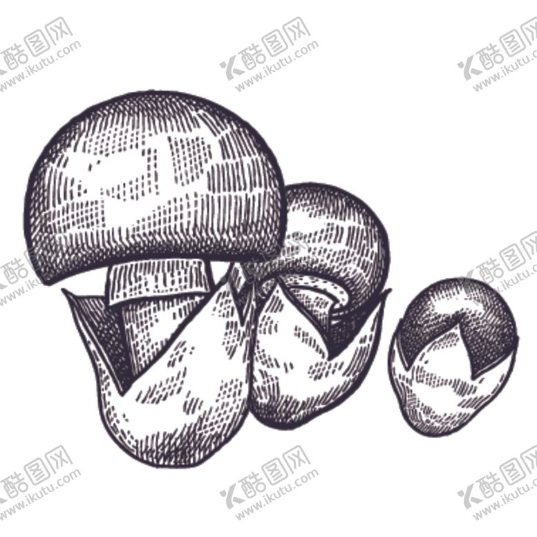 编号：80604209220900047680【酷图网】源文件下载-餐饮食物插画元素