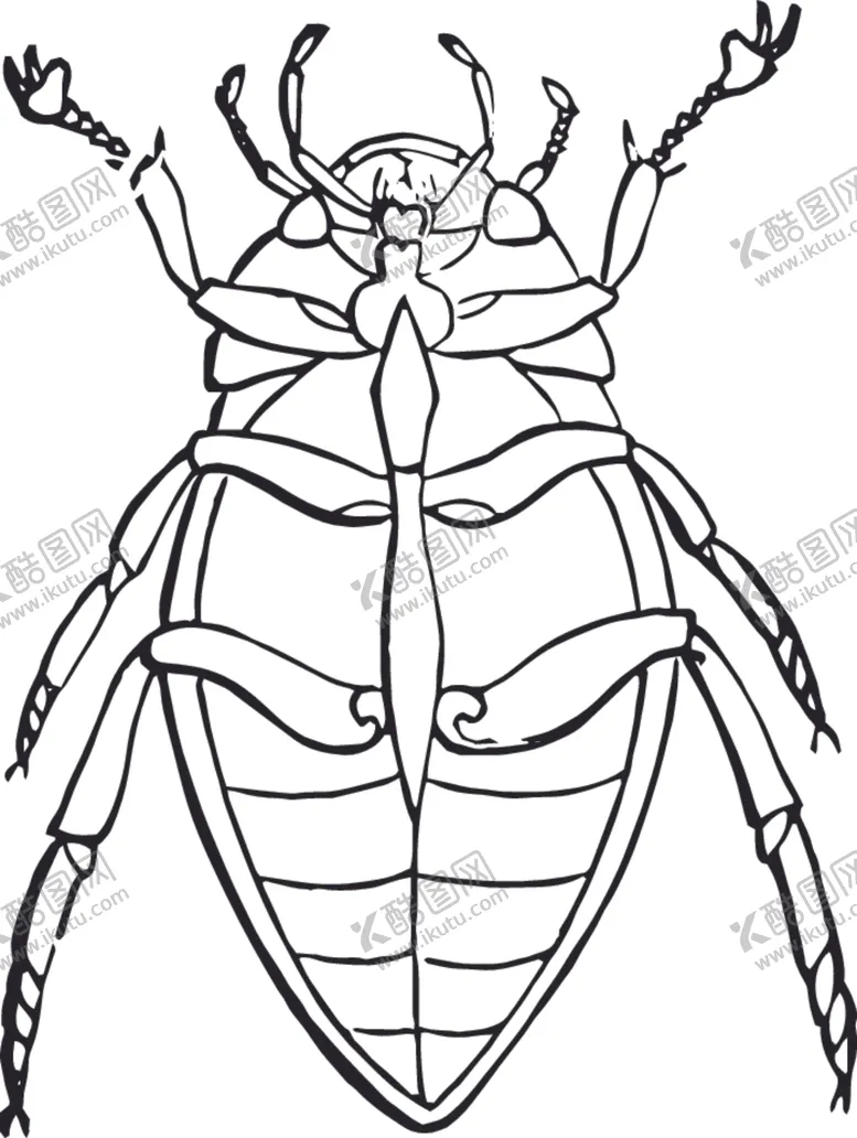 编号：85438110030821415266【酷图网】源文件下载-自然昆虫标本插画