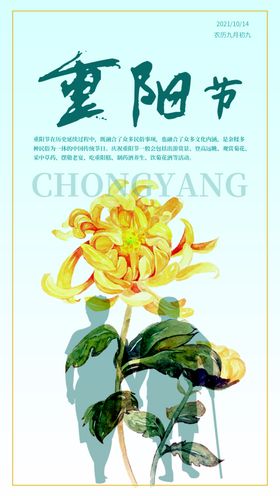 重阳节海报传统菊花敬老
