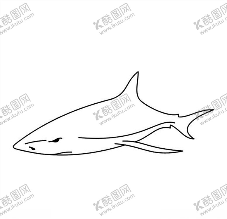 编号：50368906250122083066【酷图网】源文件下载-线条鲨鱼矢量图