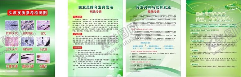 编号：15469005241256509386【酷图网】源文件下载-养发制度牌染发头皮检测