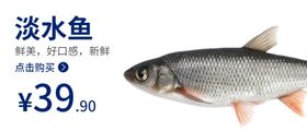 鱼海鲜鱼海报食品类