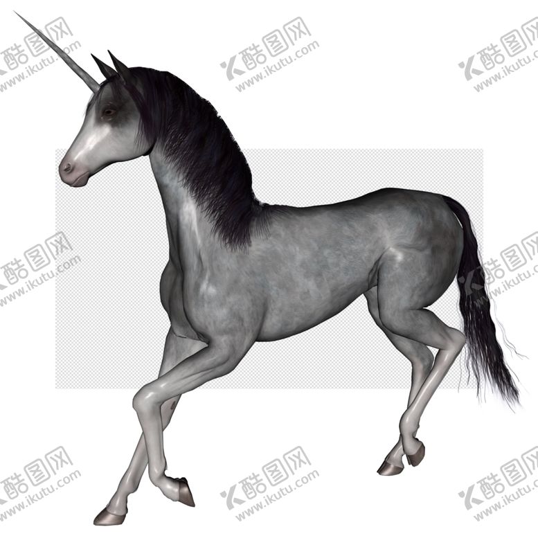 编号：44060209142226119824【酷图网】源文件下载-马透明底动物