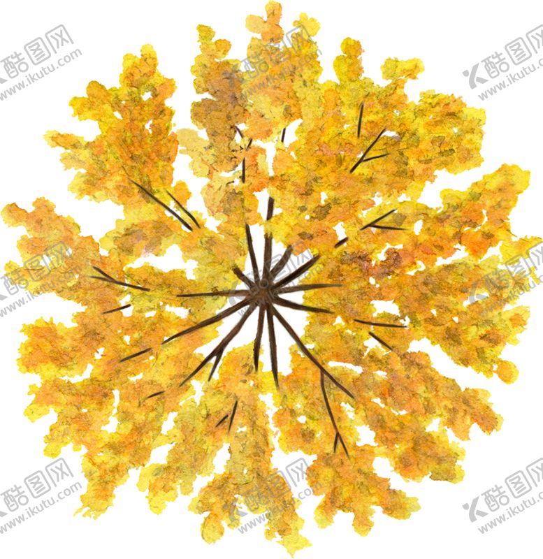 编号：13133009220236273068【酷图网】源文件下载-手绘植物