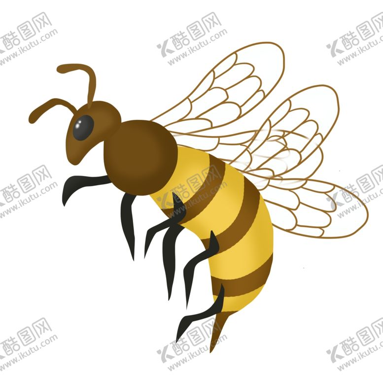 编号：40318505050717564053【酷图网】源文件下载-蜜蜂昆虫插画图片