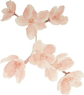 手绘粉色樱花免扣素材图片林朵