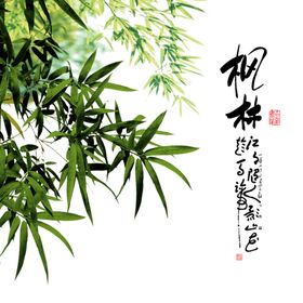 竹子竹叶