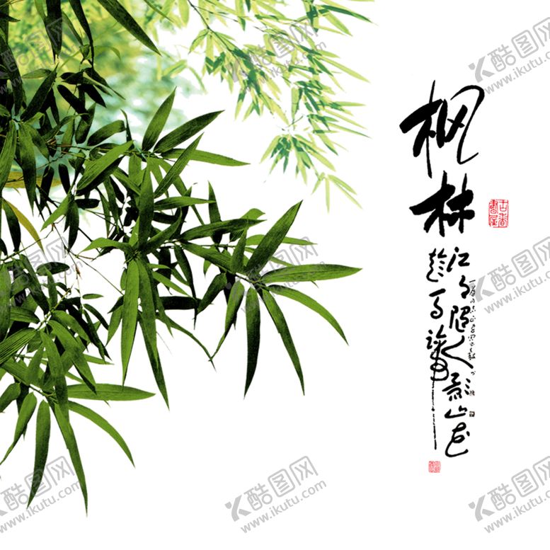 编号：21184710270417498151【酷图网】源文件下载-竹子竹叶