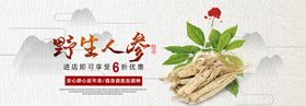 人参山货食品banner海报