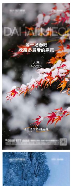 节气海报雪风景小寒大寒