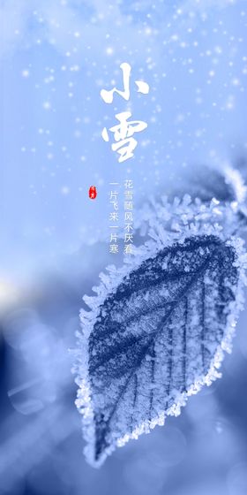 小寒传统节日中国风雪人下雪