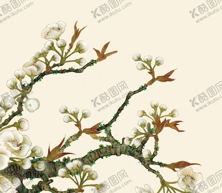 编号：94151009162304379254【酷图网】源文件下载-花鸟