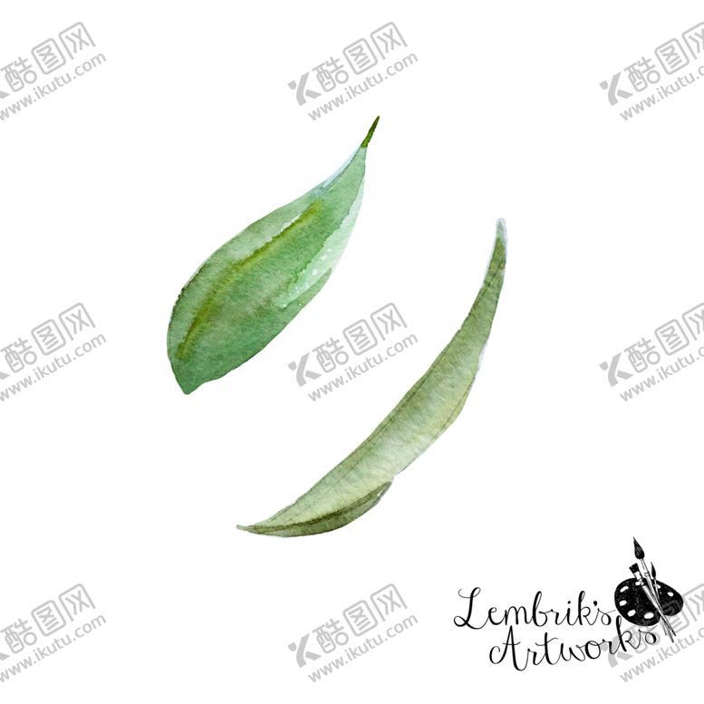 编号：20785006232136055100【酷图网】源文件下载-手绘植物