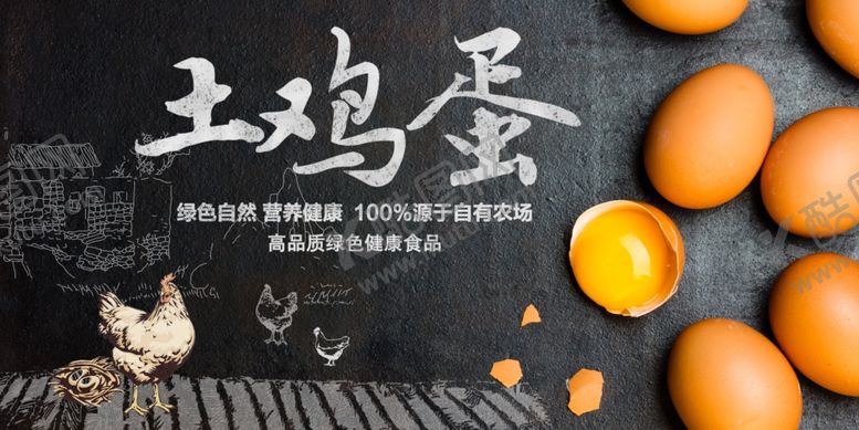编号：13059206031437586235【酷图网】源文件下载-土鸡蛋海报