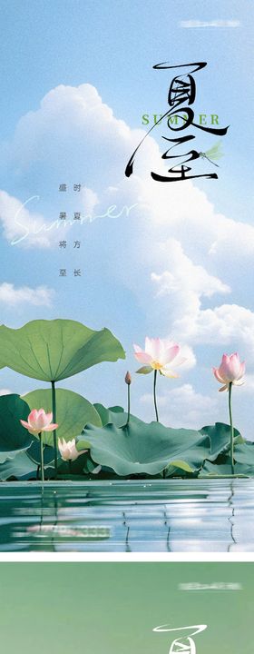 夏至大暑小暑荷花节气海报
