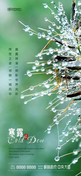 寒露入秋露水节气海报