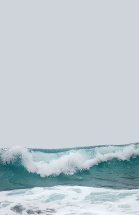 湖江海森林群落浪泊湿地公园