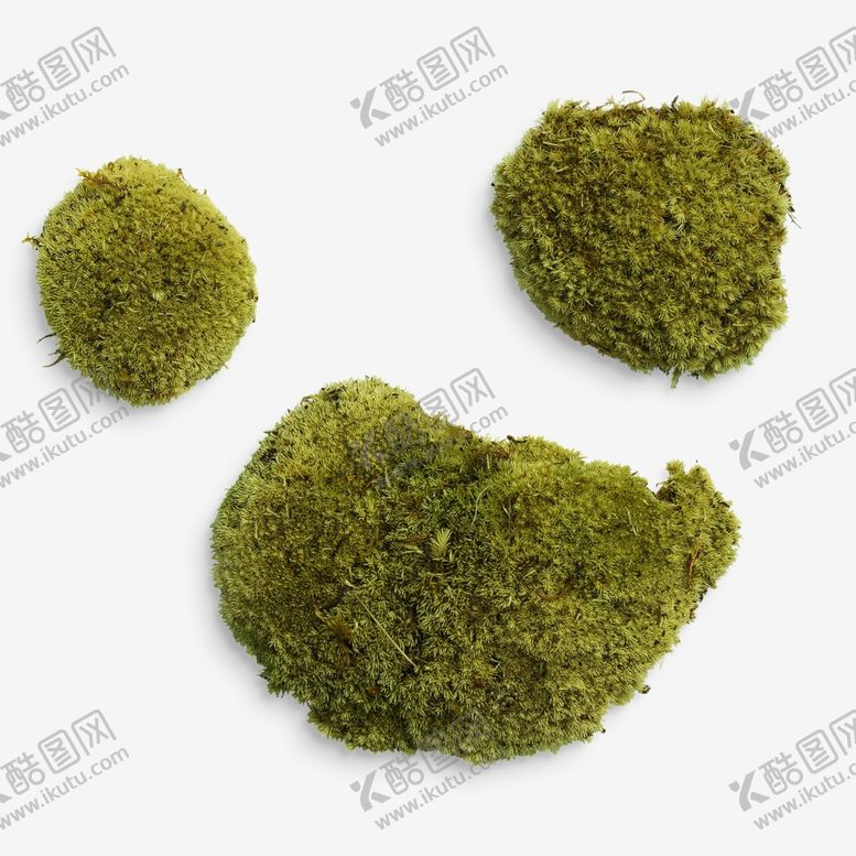 编号：83993701250714255949【酷图网】源文件下载-苔藓