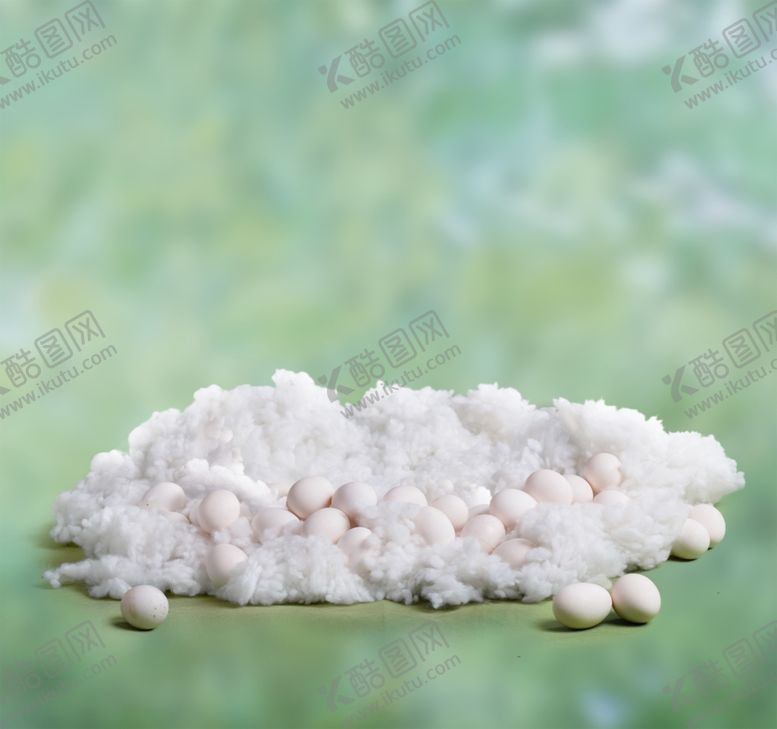 编号：14293609211321586582【酷图网】源文件下载-儿童摄影