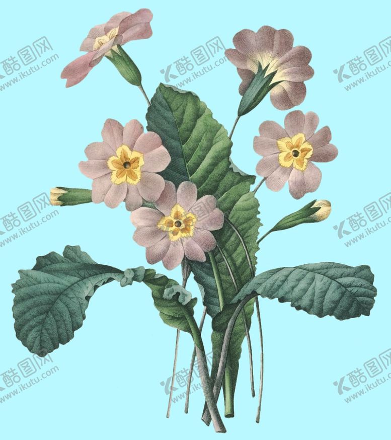 编号：10494506290229512205【酷图网】源文件下载-手绘花朵