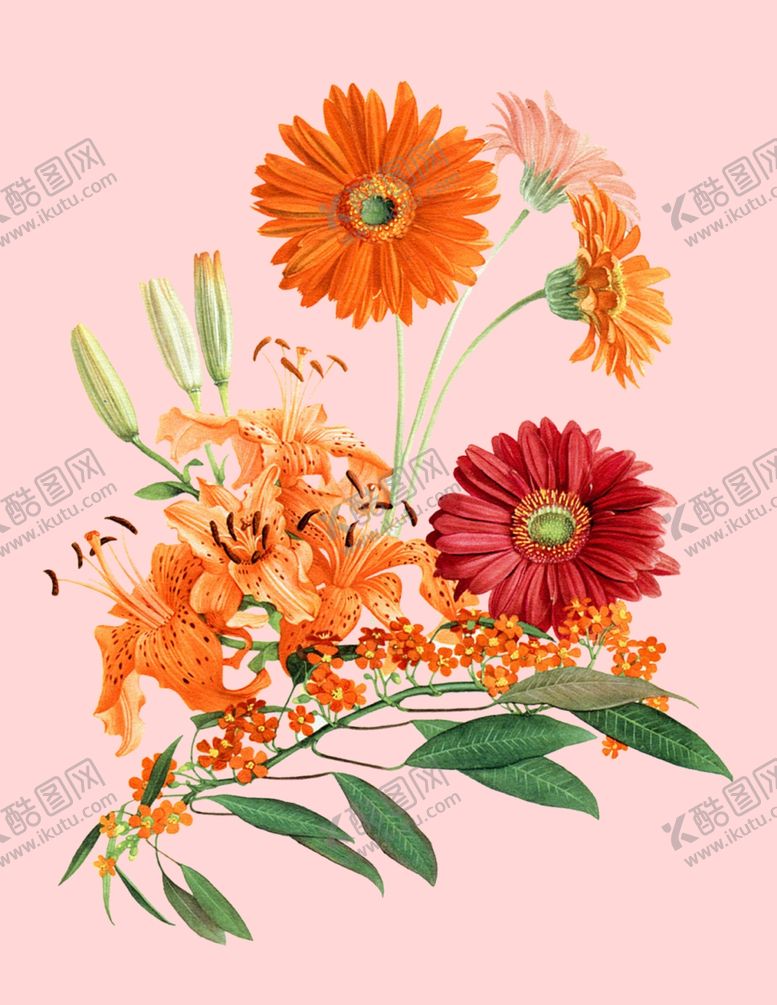 编号：32653410250706571320【酷图网】源文件下载-花卉