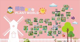 植物小天地